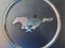 2023 Ford Mustang EcoBoost