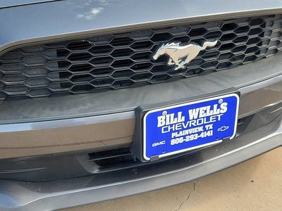 2023 Ford Mustang EcoBoost